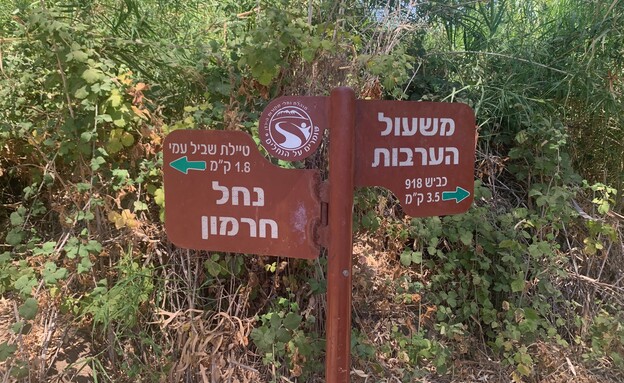 בניאס נחל חרמון בניאס נחל חרמון