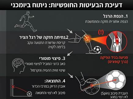 sportFive1742233 sportFive1742233