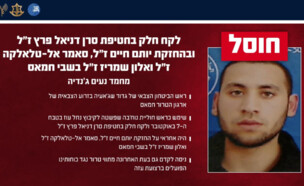 מחמד נעים ג'נדיה חוסל (צילום: דובר צה"ל)