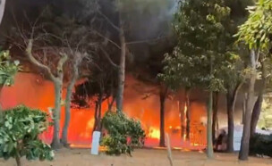 שריפות בדרום צרפת (צילום: רשתות חברתיות לפי סעיף 27א)