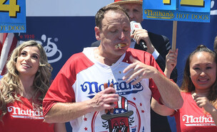  ג'ואי צסטנאט (צילום: Bobby Bank, Getty images)