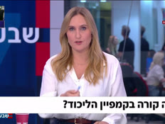 19campain_vtr2_n20260705_v1 (צילום: חדשות)