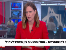 20zav8_vtr2_n20260705_v1 (צילום: חדשות)