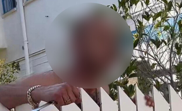 התעלל בהאסקי סיבירי התעלל בהאסקי סיבירי