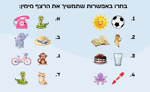 חידת הצמדים (איור: הפרופסור הלא המפוזר)