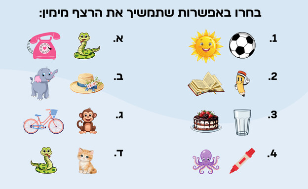 חידת הצמדים חידת הצמדים