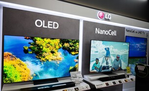LG OLED (צילום: AS project, shutterstock)