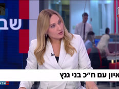 19gantz_vtr2_n20260706_v1 (צילום: חדשות)