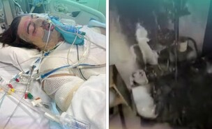 לאצ'י פרם  (צילום: GoFundMe )