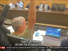 20danavtr_vtr2_n20260708_v1 (צילום: חדשות)