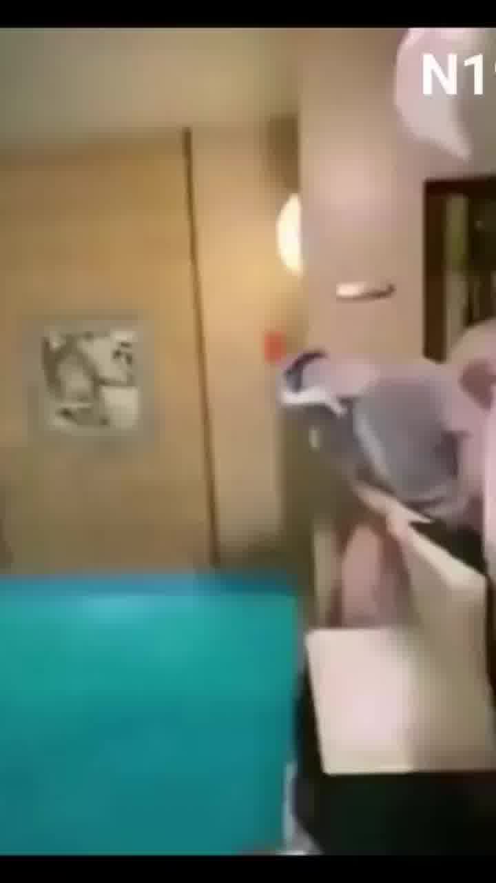 מילאו את הבריכה בקרח יבש למסיבת יום ההולדת, וזה נגמר במותם של שלושה בני אדם