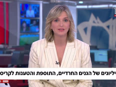 20sade_vtr2_n20260709_v1 (צילום: חדשות)