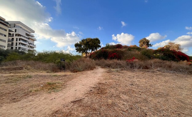 כניסה גבעת נפוליאון כניסה גבעת נפוליאון