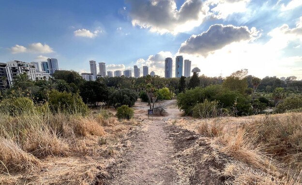 שביל תל אביב גבעת נפוליאון שביל תל אביב גבעת נפוליאון