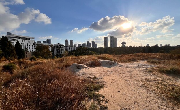 שטח פסגה גבעת נפוליאון שטח פסגה גבעת נפוליאון