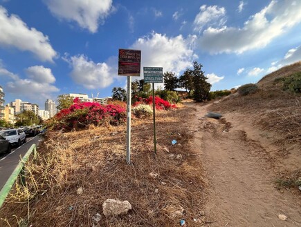 "פגיעה בלתי הפיכה": אף אחד לא לוקח אחריות - ואתר הטבע ההיסטורי בלב גוש דן הופך למוזנח