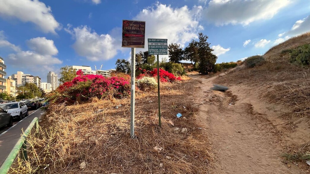 שלטים גבעת נפוליאון שלטים גבעת נפוליאון