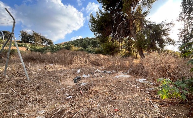 לכלוך רמת גן גבעת נפוליאון לכלוך רמת גן גבעת נפוליאון