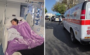 טוני  (צילום: מד"א, הלל יפה)