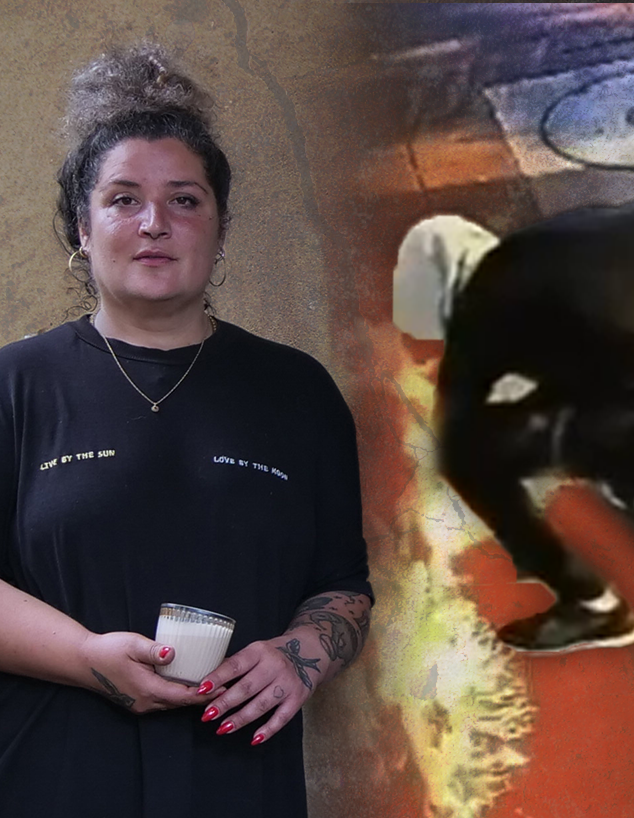 שחף שריקי, בעלת בית הקפה "בנדיטה" ברמת גן שחף שריקי, בעלת בית הקפה "בנדיטה" ברמת גן