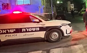 משטרה, ניידת משטרה