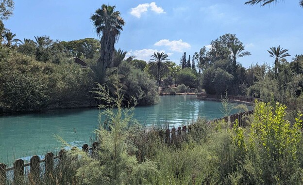 ניר דוד נחל האסי (צילום: מירב טלמור-קשי)