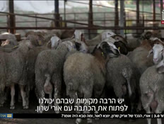 20sharon_vtr2_n20260710_v1 (צילום: חדשות)