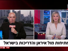 20metichut_vtr2_n20260711_v1 (צילום: חדשות)