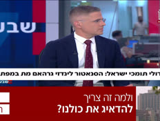 19lindsey_vtr2_n20260712_v1 (צילום: חדשות)