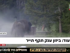 20bizon_vtr2_n20260712_v1 (צילום: חדשות)