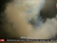 20mezar_vtr2_n20260712_v1 (צילום: חדשות)