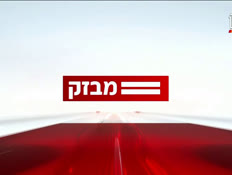 miv8_vtr2_n20260712_v1 (צילום: חדשות)