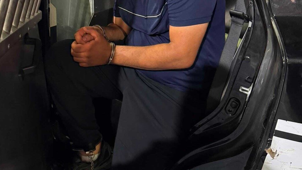 מעצר דמי חסות מעצר דמי חסות