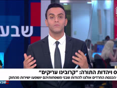 19panelharedim_vtr2_n20260714_v1 (צילום: חדשות)