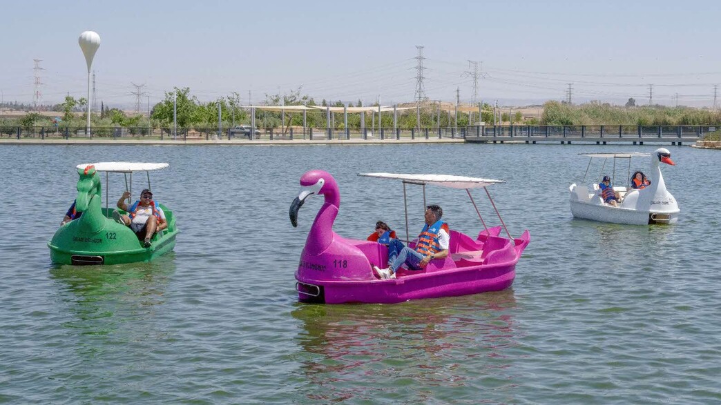 האגם בפארק מחל באר שבע האגם בפארק מחל באר שבע
