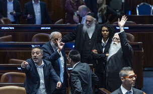 חברי הכנסת החרדים במליאה (צילום: חיים גולדברג, פלאש 90)