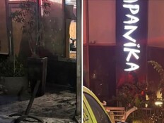 עוד רימון על ג'פניקה. אברמוב: "אני לא מבין מאיפה זה בא"