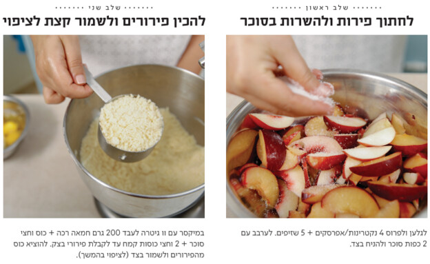בחושה פירות ופירורים 1 בחושה פירות ופירורים 1