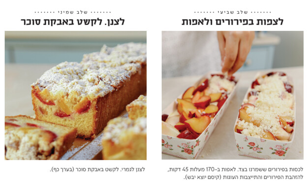 בחושה פירות ופירורים 4 בחושה פירות ופירורים 4