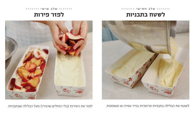 בחושה פירות ופירורים 3 בחושה פירות ופירורים 3