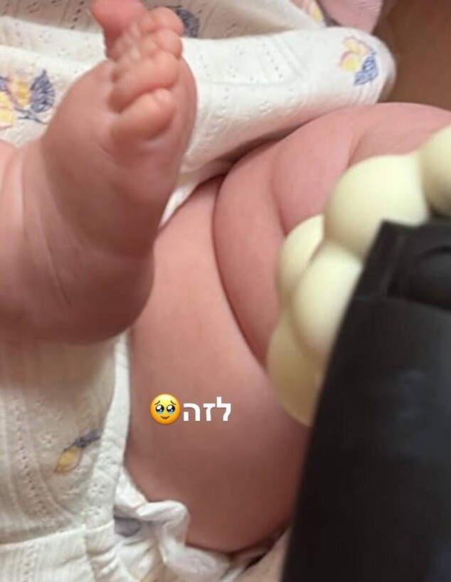 יהודה לוי יהודה לוי