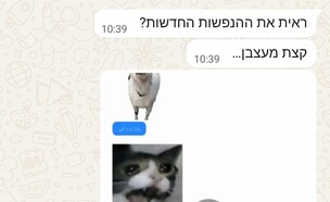 השינוי המעצבן בוואטסאפ (צילום: whatsapp)