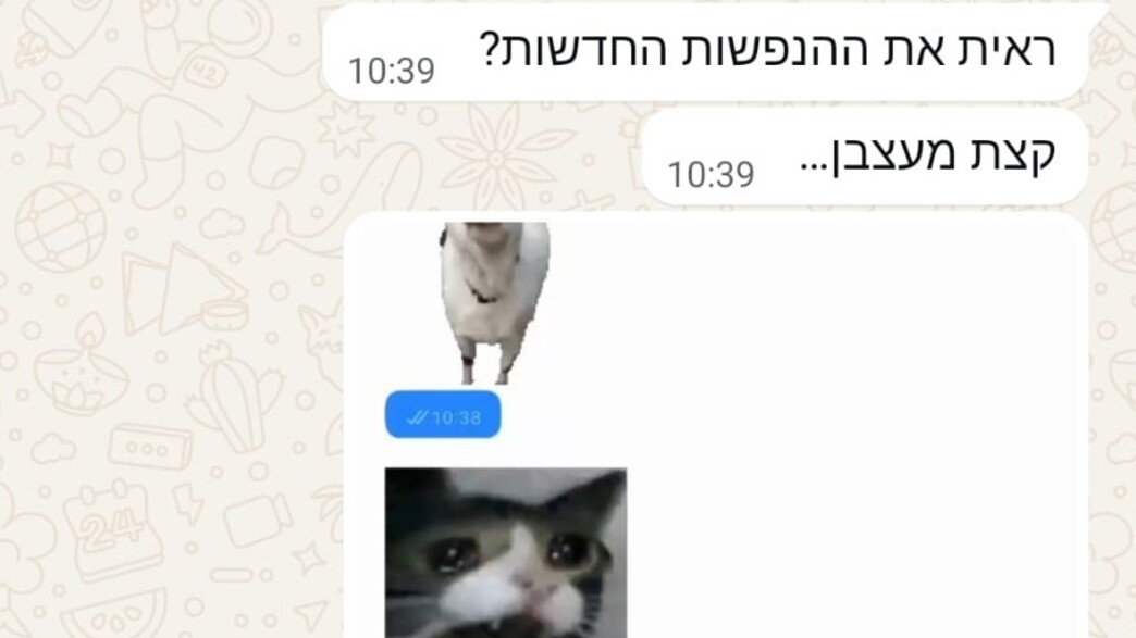 השינוי המעצבן בוואטסאפ השינוי המעצבן בוואטסאפ