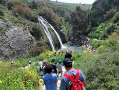 שמורת נחל עיון (צילום: ג'ורג' נובומינסקי, פלאש 90) שמורת נחל עיון (צילום: ג'ורג' נובומינסקי, פלאש 90)