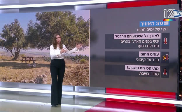 תחזית מזג האוויר 19/07