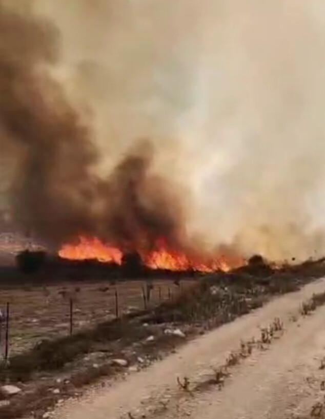 השרפה בקדומים השרפה בקדומים