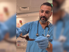 בן 15 פונה למיון עקב הפרשת עטלף לפיו