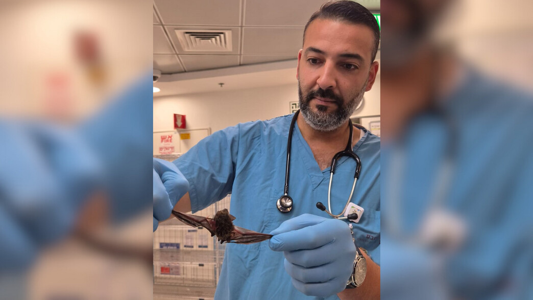 ריאד שיח', אח אחראי במלר"ד הילדים ברמב"ם והעטלף ריאד שיח', אח אחראי במלר"ד הילדים ברמב"ם והעטלף