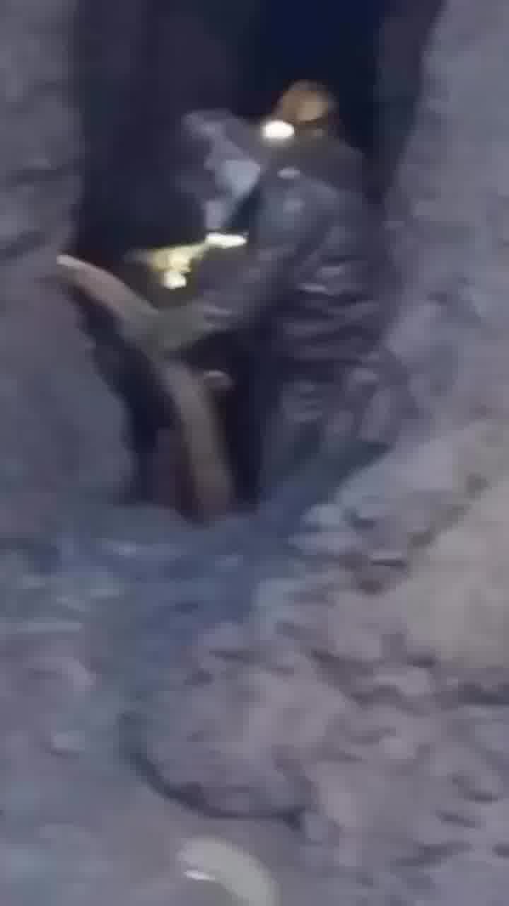 חפרו באדמה הקפואה של יקוטיה, במזרח הרחוק של רוסיה, ומצאו חט של ממותה