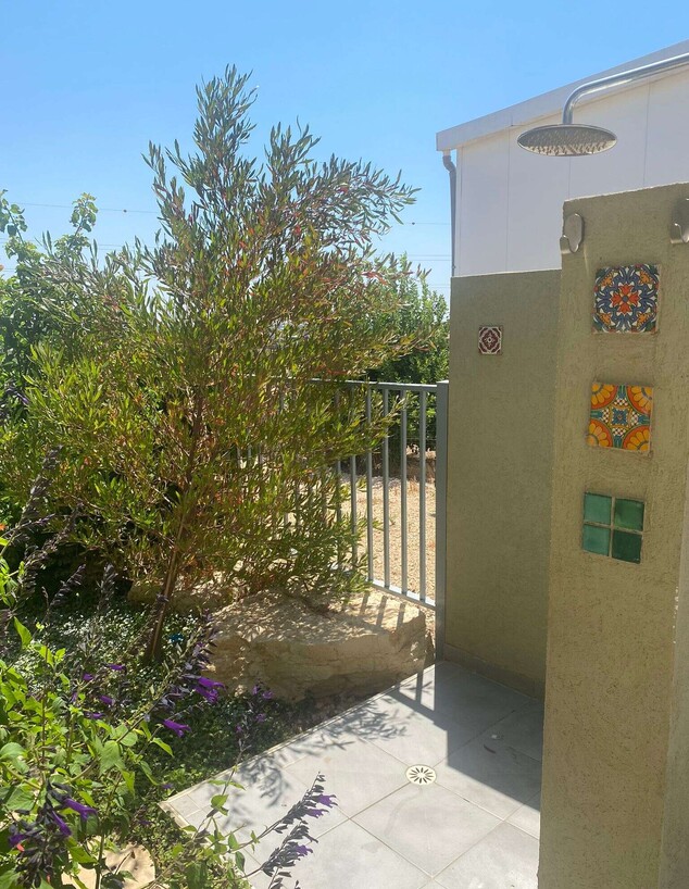 ישראלים מתארחים בבחירות ישראלים מתארחים בבחירות